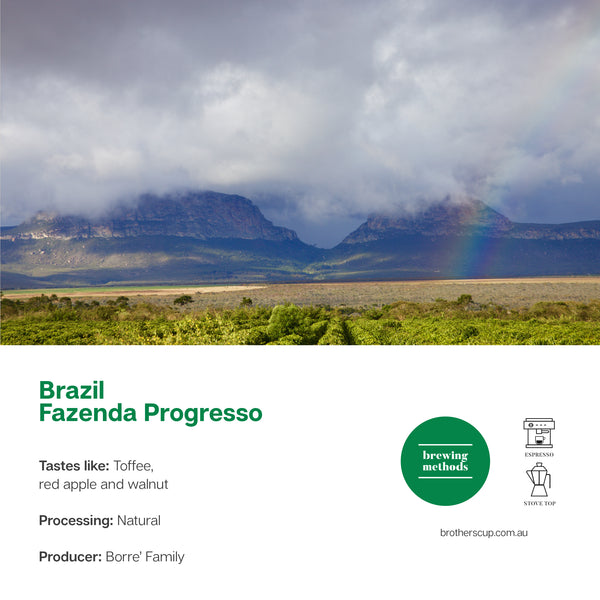 Brazil Progresso Natural - Espresso Roast