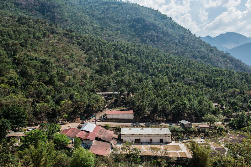 Guatemala Calahute - Espresso Roast