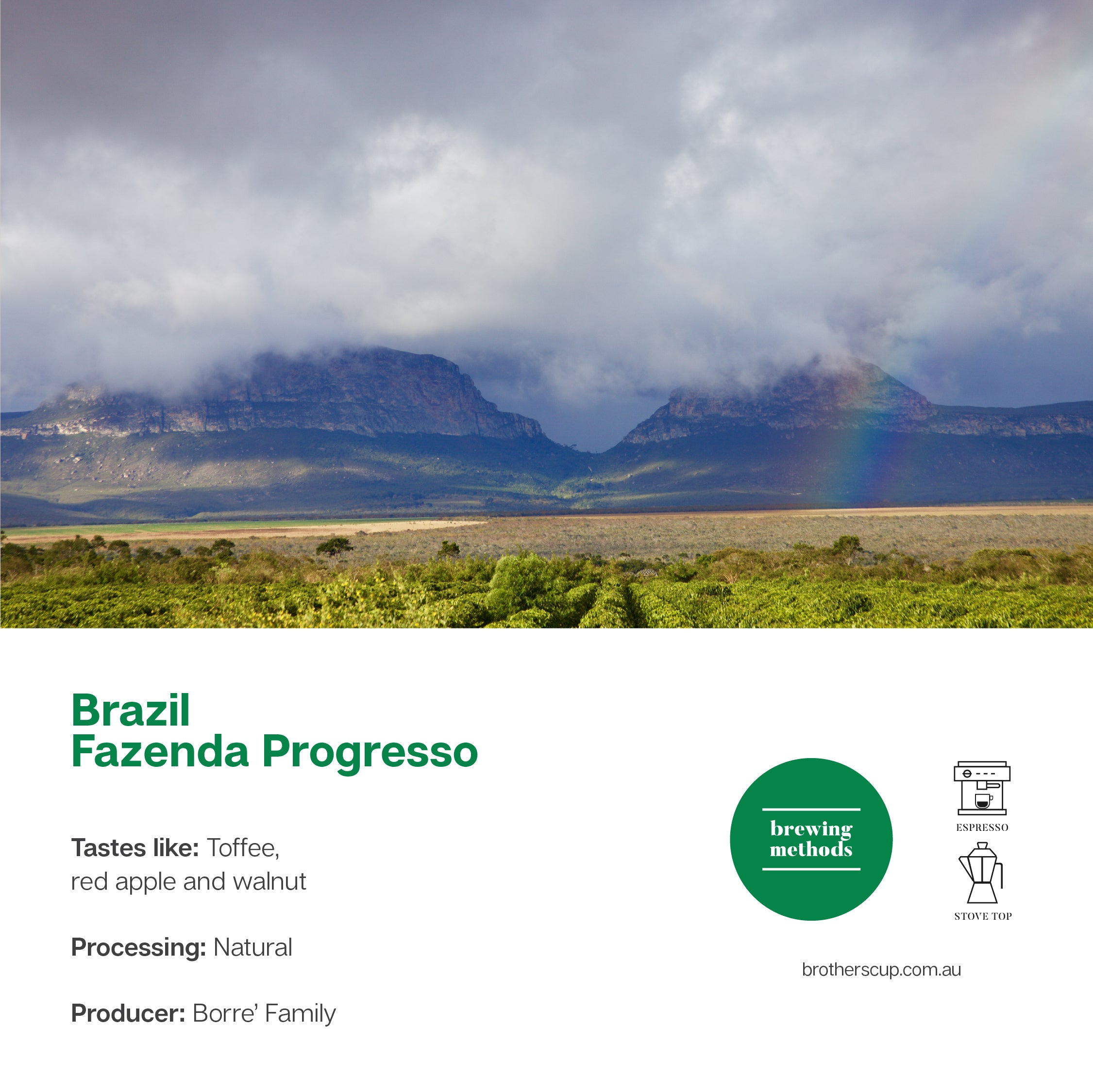 Brazil Progresso Natural - Espresso Roast